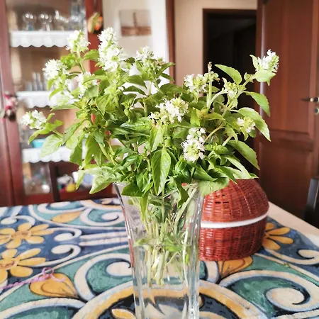 Apartment Zagara *